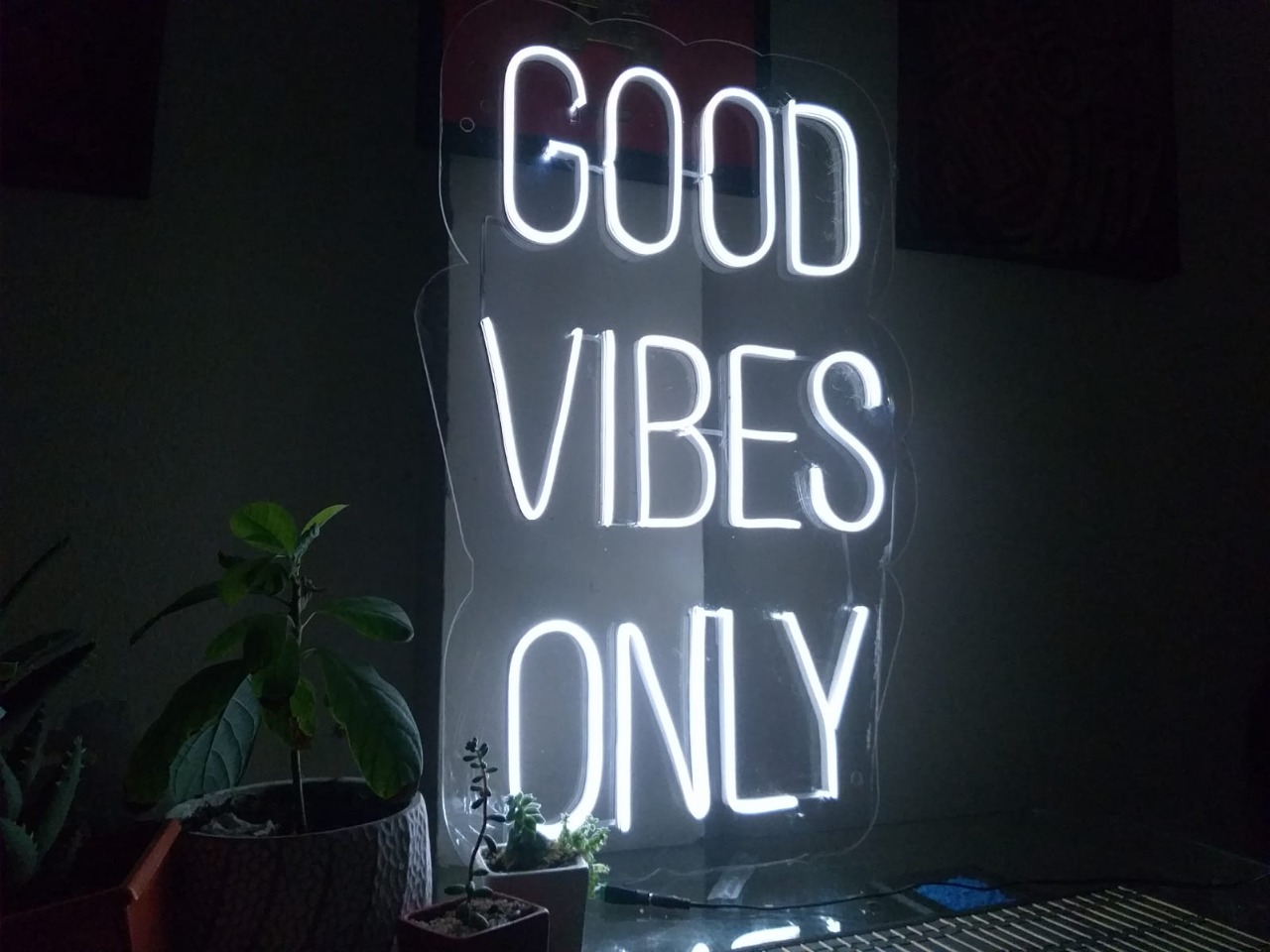 Avisos en neon