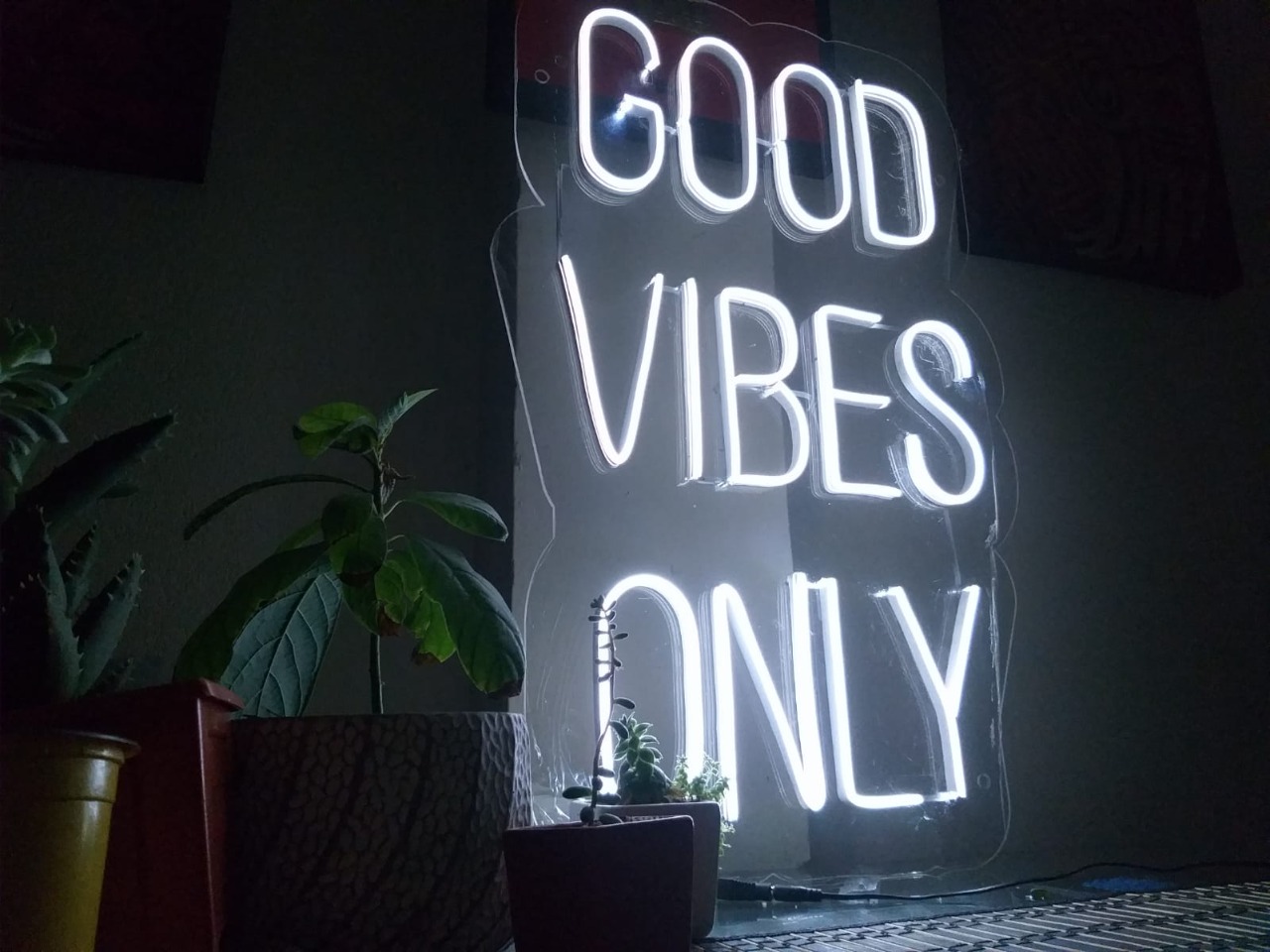 Avisos en neon